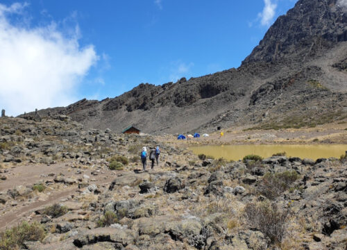 7 days Kilimanjaro Hike Rongai Route