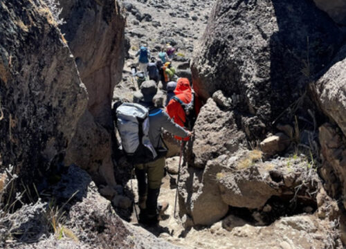 9 Days Kilimanjaro Hike Lemosho Route