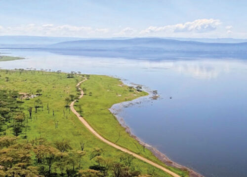 5-Day Maasai Mara -Nakuru -Bogoria Safari