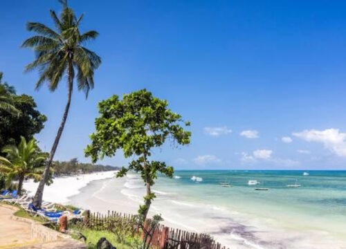 Diani Deals