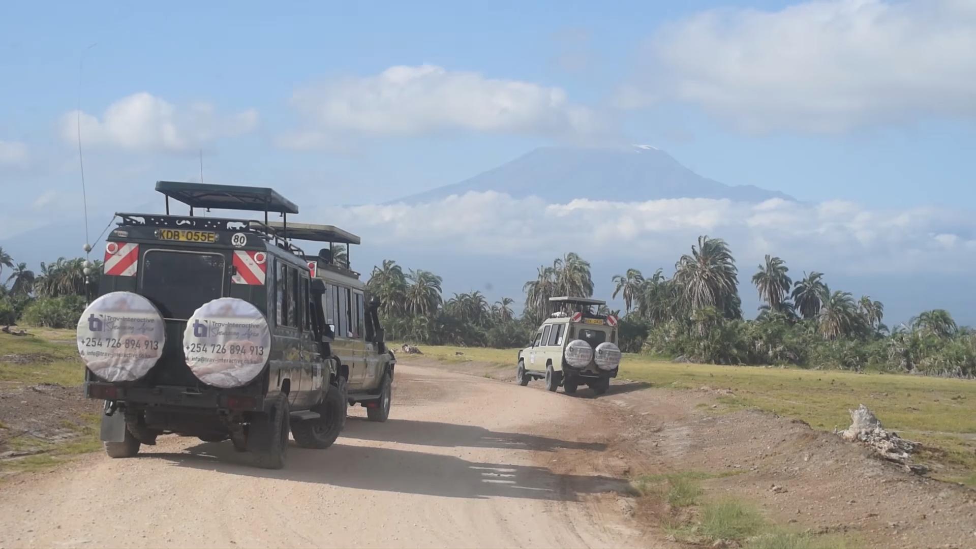 Expert Tips for Traveling with Children and Teens: Planning, Packing, and Enjoying Your African Safari Tour